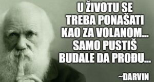 U životu se treba ponašati kao za volanom... Samo pustiš budale da prođu...